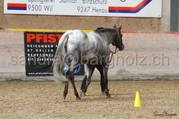 24-ApHC HIH_033.jpg